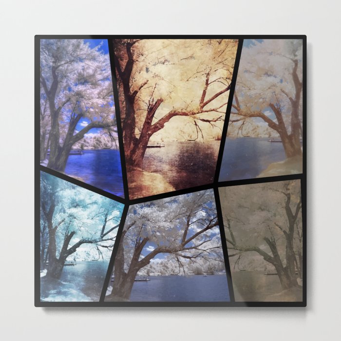 The Beauty of Infrared Trees Metal Print
