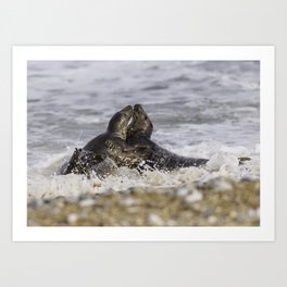 Grey Seal Collection Art Print | Greyseals, Seals, Norfolk, Cute, Adorable, Beach, Grey, Waves, Color, Photo 