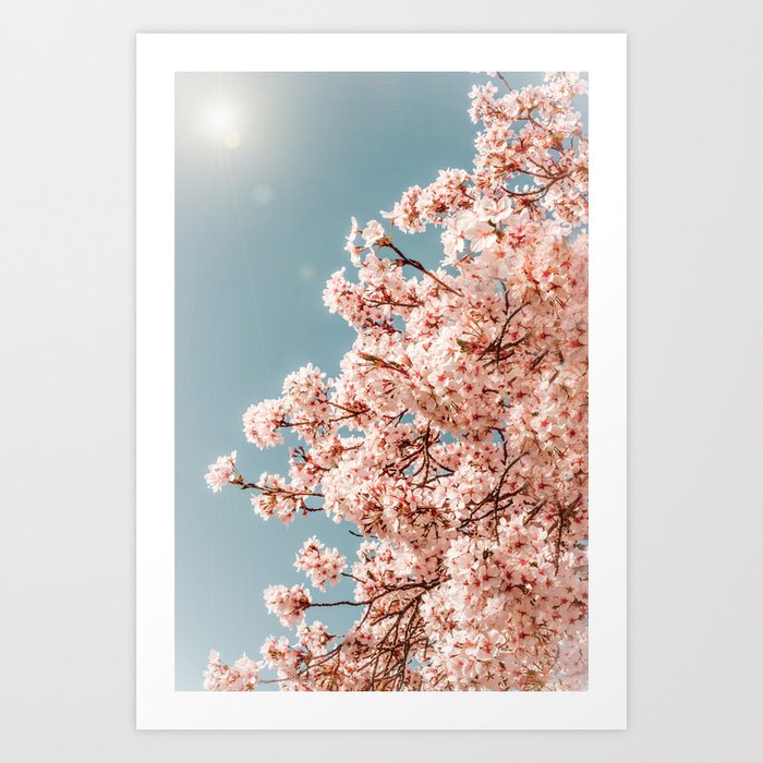 Van gogh store sakura