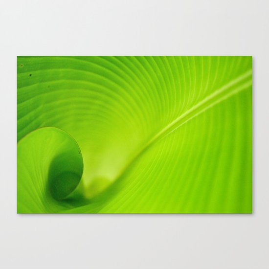 Look Inside Canvas Print