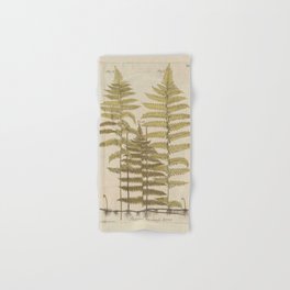Vintage Fern Botanical Hand & Bath Towel
