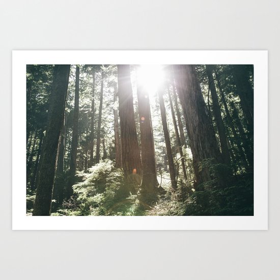Sunny Forest Art Print