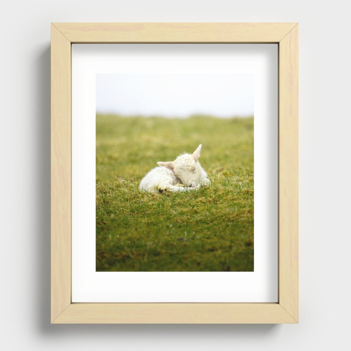 Sleeping lamb Recessed Framed Print