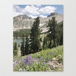 Nevada Summer Wildflowers Canvas Print