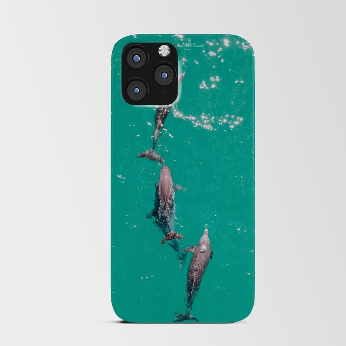 Isla Mujeres, Delfines III Mar Caribe iPhone Card Case