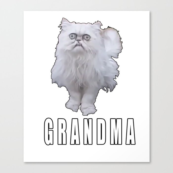 This Stray Cat Looks Like Grandma Meme Canvas Print By