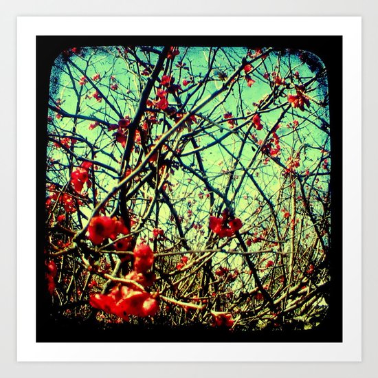Blossom Frenzy - Through The Viewfinder (TTV) Art Print