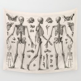 1857 Diagram Anatomy including Skeletons Wall Tapestry