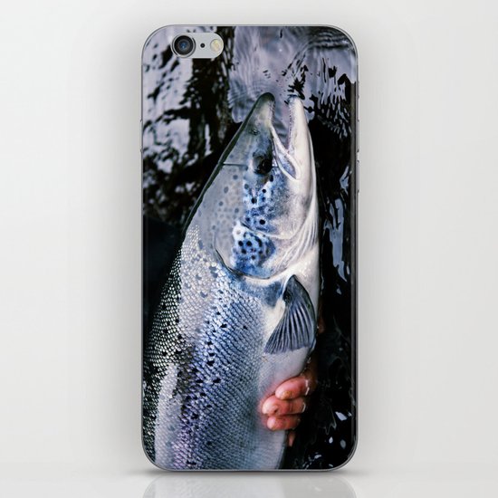 Atlantic Salmon iPhone & iPod Skin