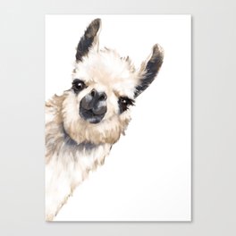 Alpaca Canvas Prints For Any Decor Style Society6