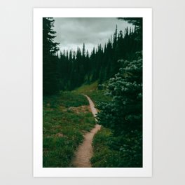 Green Hiking Trail Art Print