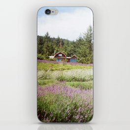 Lavender Farm on Film iPhone Skin