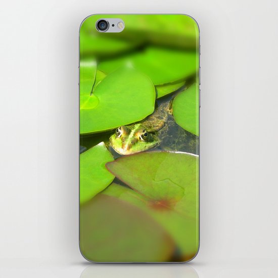 green frog I iPhone & iPod Skin