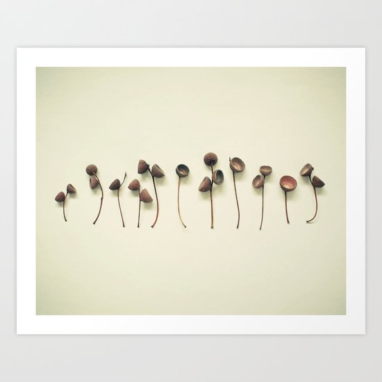 Acorn Collection Art Print
