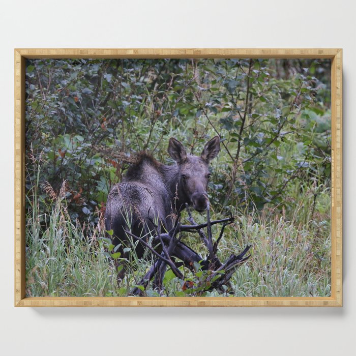 Moose Calf Standing Up Serving Tray