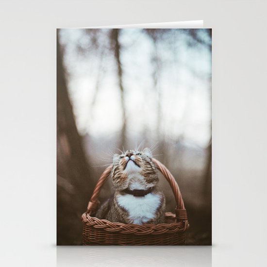Cat in a basket Stationery Cards