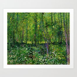 Vincent Van Gogh Trees and Undergrowth 1887 Art Print