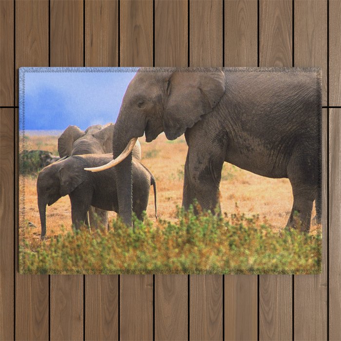 Baby Elephant With Elephant Parents In Kenya, Africa Outdoor Rug