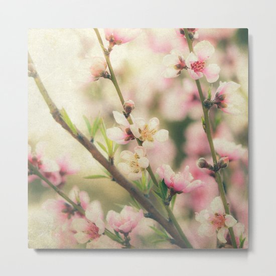 Pear Blossom Metal Print