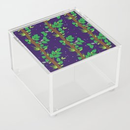 Senegal Bushbaby Acrylic Box