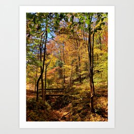 Autumn Forest Photography x Tennessee Print x Bridge in the Forest Art Print
