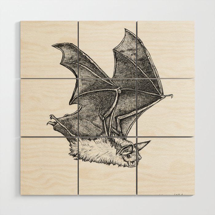 Flying Bat - Sketch by Monika Wyszynska Wood Wall Art