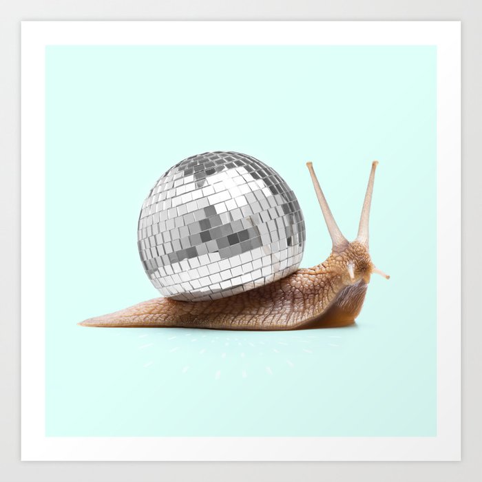 DISCO SNAIL Kunstdrucke DISCO SNAIL Kunstdrucke