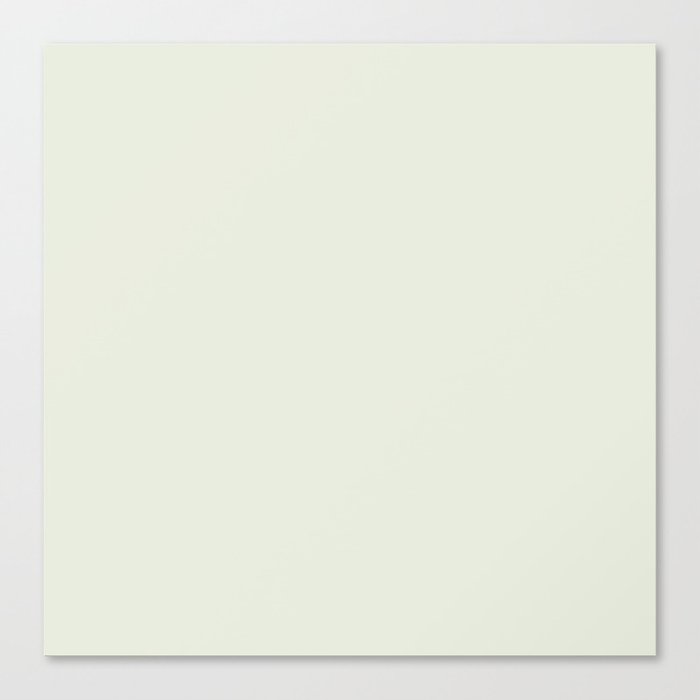 Spinach white Canvas Print