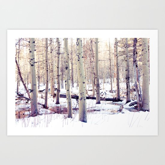 Aspen Trees in Winter Art Print