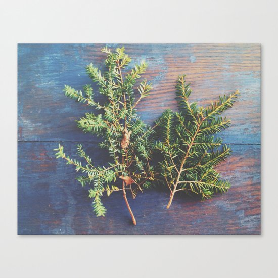Hemlock on Blue Table Canvas Print