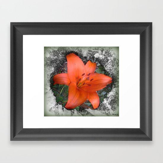 Day Lilly Framed Art Print