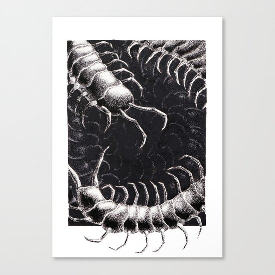 Centipede Canvas Print