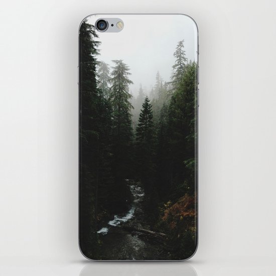 Rainier Creek iPhone & iPod Skin