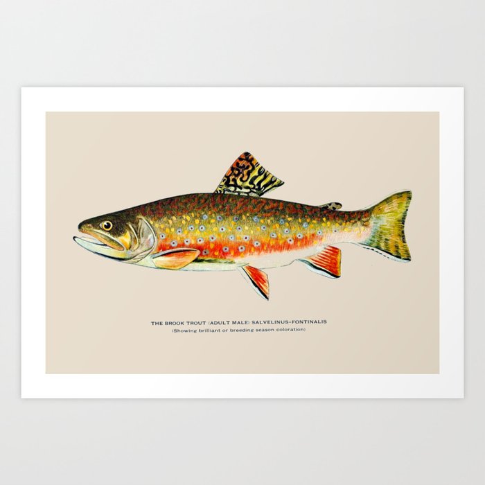 Art Print