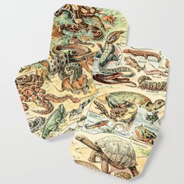 Reptiles II by Adolphe Millot // XL 19th Century Snakes Lizards Alligators Science Textbook Artwork Coaster