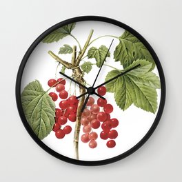 Botanical Print, Red Currant, Ribes Rubrum Wall Clock