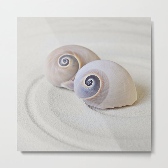Zen Shell Harmony Still Life Metal Print