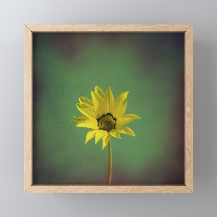 The yellow flower of my old friend Framed Mini Art Print