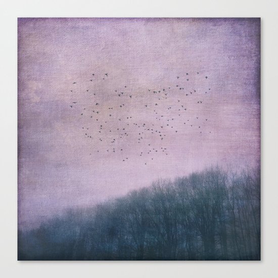 over the Heart of the Forest Canvas Print