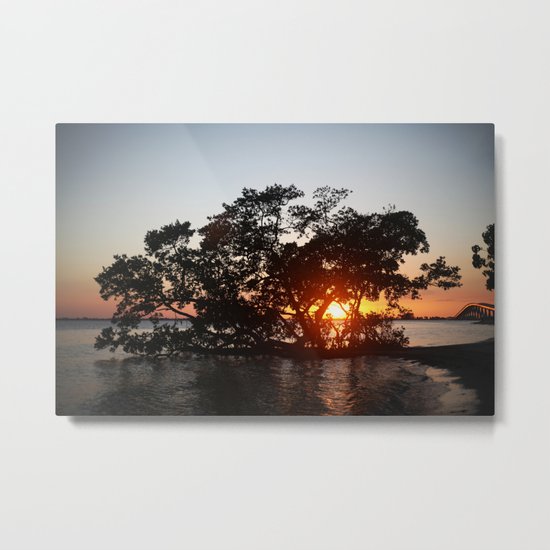 Slice of Paradise Metal Print