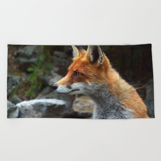 Fox renard 4 Beach Towel