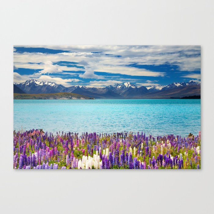 Landscape with Lupin Flowers Canvas Print