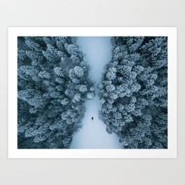 Frozen Lake In A Winter Forest  Art Print