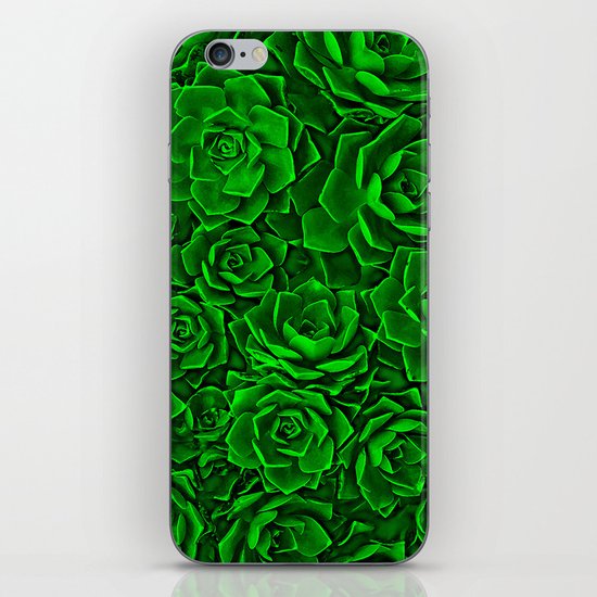 Succulent Green iPhone & iPod Skin