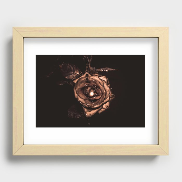 (he called me) the Wild rose Recessed Framed Print