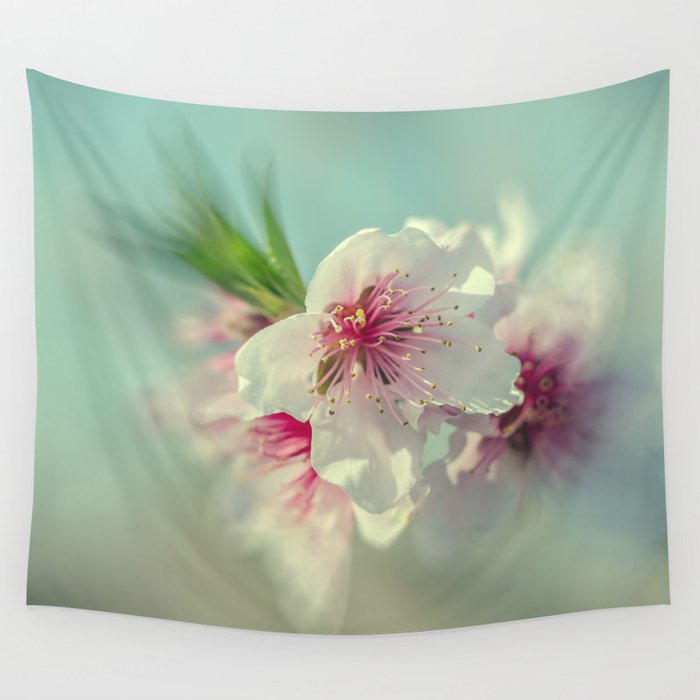 Peach Flower Blossom Bedroom Wall Decor Photography Prints Wall