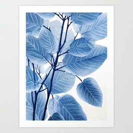 Light blue summer leaves Art Print