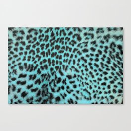 Turquoise leopard print Canvas Print