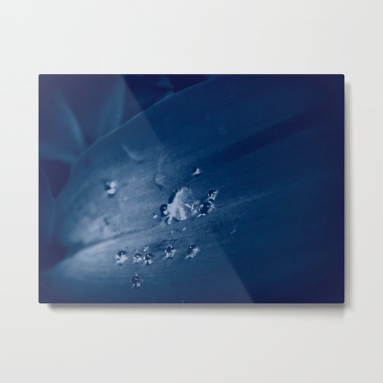 Lily White Tears Metal Print