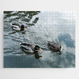 Three ducks swimming Jigsaw Puzzle